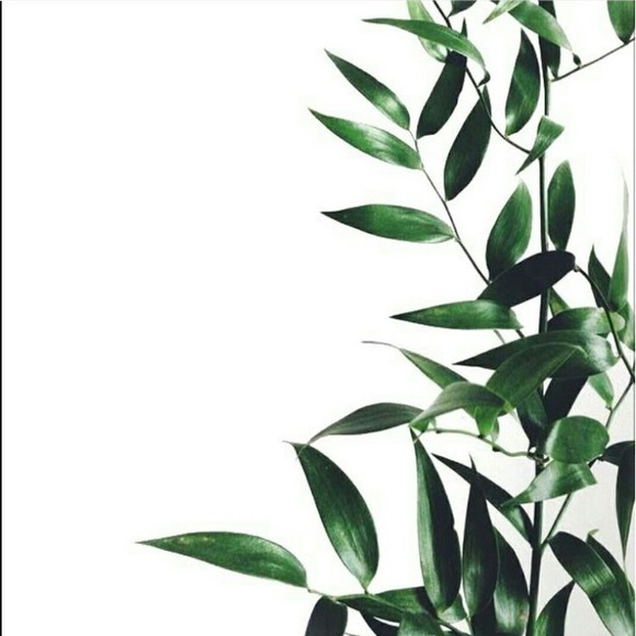 W E L C O M E🌱 - Picture 4 of 4